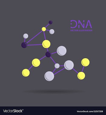 Molecules concept of neurons and nervous system vector image