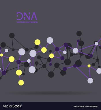 Molecules concept of neurons and nervous system vector image