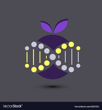 Molecules concept of neurons and nervous system vector image