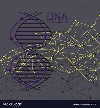 Molecules concept of neurons and nervous system vector image