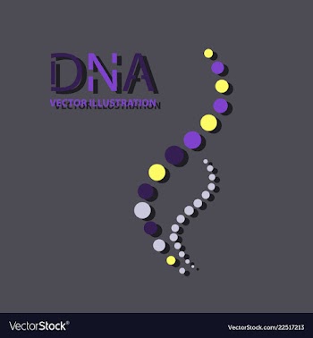 Molecules concept of neurons and nervous system vector image