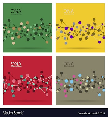 Molecules concept of neurons and nervous system vector image