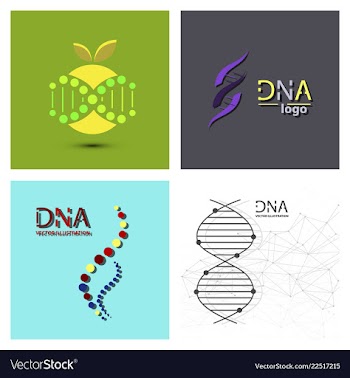 Molecules concept of neurons and nervous system vector image
