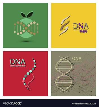 Molecules concept of neurons and nervous system vector image