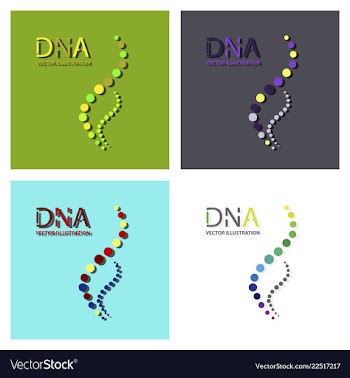 Molecules concept of neurons and nervous system vector image