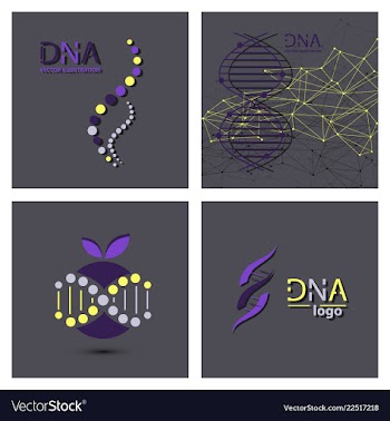 Molecules concept of neurons and nervous system vector image