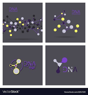 Molecules concept of neurons and nervous system vector image