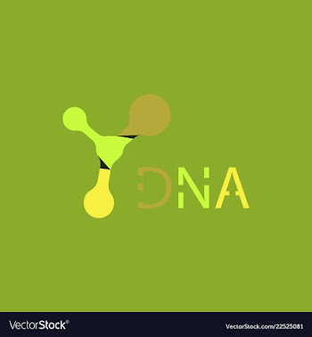 Molecules concept of neurons and nervous system vector image