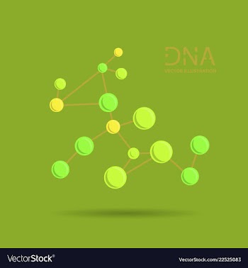 Molecules concept of neurons and nervous system vector image