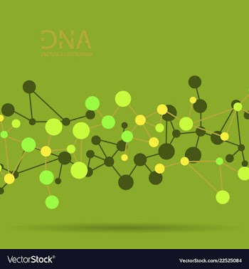 Molecules concept of neurons and nervous system vector image