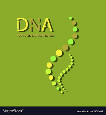 Molecules concept of neurons and nervous system vector image