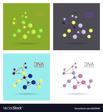 Molecules concept of neurons and nervous system vector image