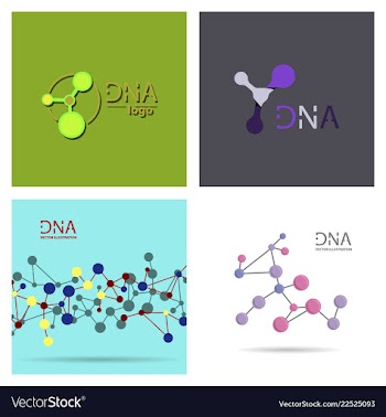 Molecules concept of neurons and nervous system vector image