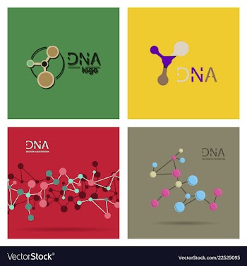 Molecules concept of neurons and nervous system vector image