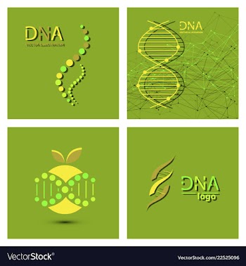 Molecules concept of neurons and nervous system vector image