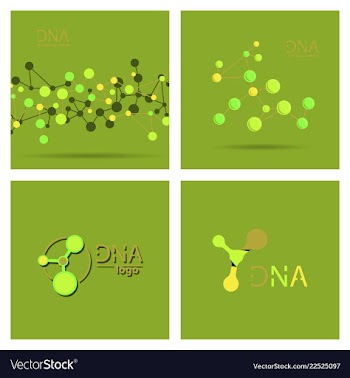 Molecules concept of neurons and nervous system vector image