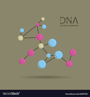 Molecules concept of neurons and nervous system vector image