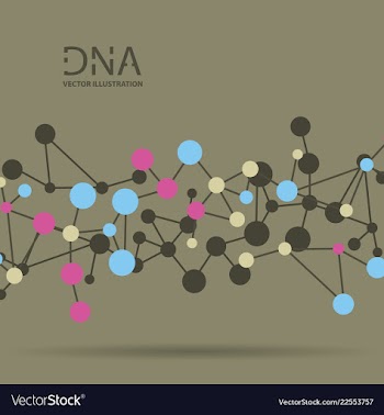 Molecules concept of neurons and nervous system vector image