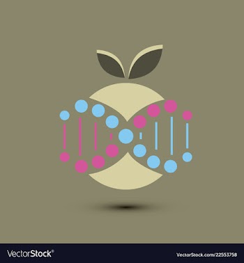 Molecules concept of neurons and nervous system vector image