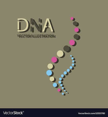 Molecules concept of neurons and nervous system vector image