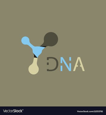 Molecules concept of neurons and nervous system vector image