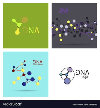 Molecules concept of neurons and nervous system vector image