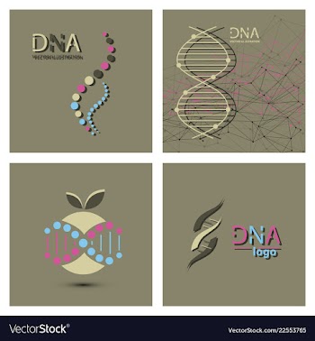 Molecules concept of neurons and nervous system vector image