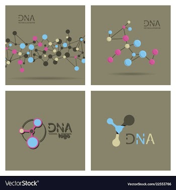 Molecules concept of neurons and nervous system vector image