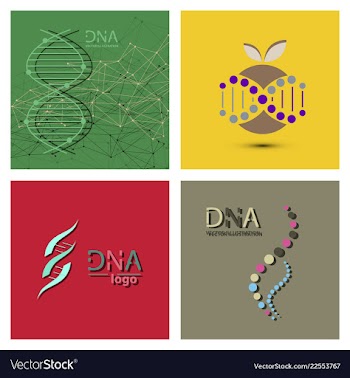 Molecules concept of neurons and nervous system vector image