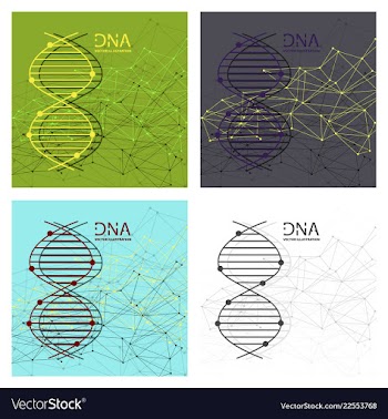 Molecules concept of neurons and nervous system vector image