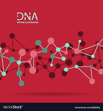 Molecules concept of neurons and nervous system vector image