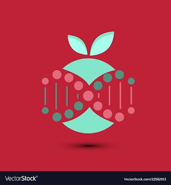 Molecules concept of neurons and nervous system vector image