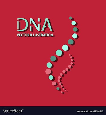 Molecules concept of neurons and nervous system vector image