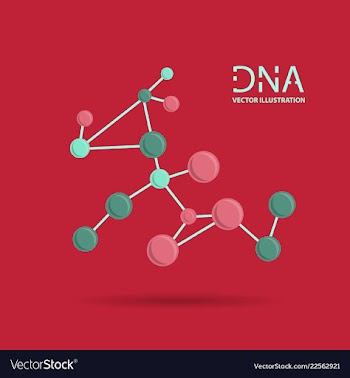 Molecules concept of neurons and nervous system vector image