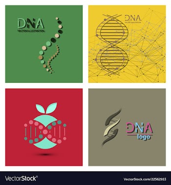 Molecules concept of neurons and nervous system vector image