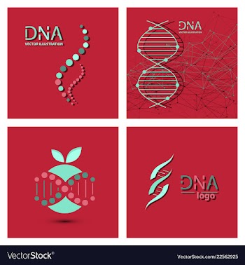 Molecules concept of neurons and nervous system vector image