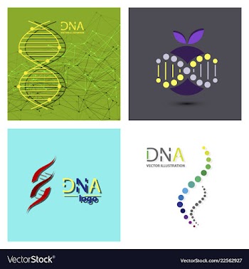 Molecules concept of neurons and nervous system vector image