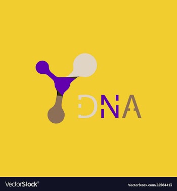 Molecules concept of neurons and nervous system vector image