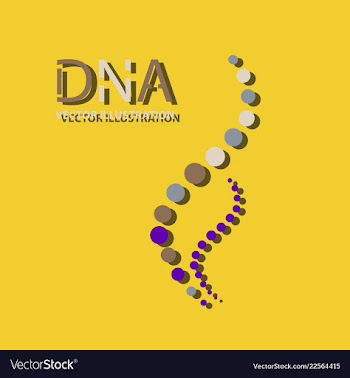 Molecules concept of neurons and nervous system vector image