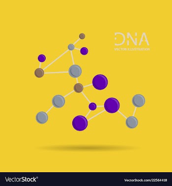 Molecules concept of neurons and nervous system vector image