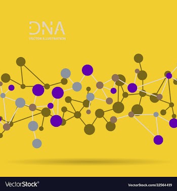 Molecules concept of neurons and nervous system vector image