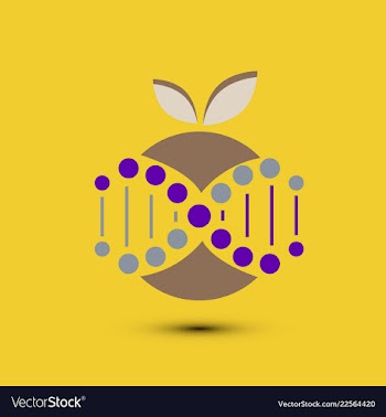 Molecules concept of neurons and nervous system vector image