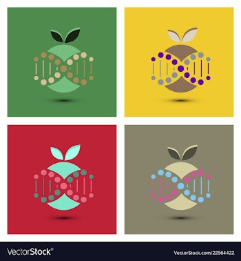 Molecules concept of neurons and nervous system vector image