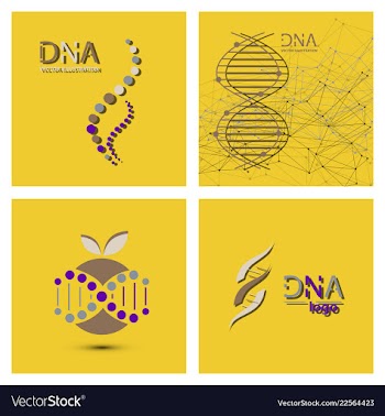 Molecules concept of neurons and nervous system vector image