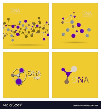 Molecules concept of neurons and nervous system vector image