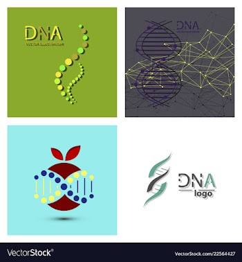 Molecules concept of neurons and nervous system vector image