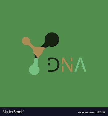 Molecules concept of neurons and nervous system vector image