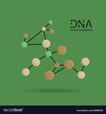 Molecules concept of neurons and nervous system vector image