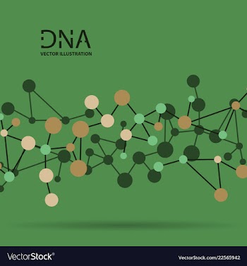 Molecules concept of neurons and nervous system vector image
