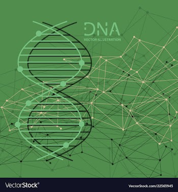 Molecules concept of neurons and nervous system vector image